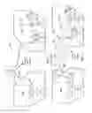 Fig. 05 - Broadband local area network