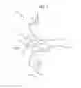 Fig. 02 - Binaural recording system and earpiece set