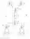 Fig. 02 - Wireless internet access with enhanced bandwidth capabilities
