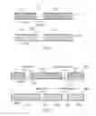 Fig. 08 - Method, mobile communications device, system and circuitry for estimating an occupancy level of a shared channel