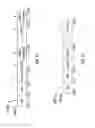 Fig. 10 - Systems and methods for low overhead paging