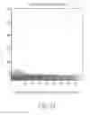 Fig. 31 - Resource allocation according to geolocation of mobile communication units