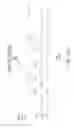Fig. 17 - Identification of load control devices