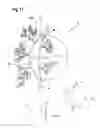 Fig. 18 - CONTAINER FOR SUPPLYING PLANT ROOTS WITH NUTRIENT SOLUTION WITHOUT THE USE OF SOIL