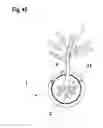 Fig. 37 - CONTAINER FOR SUPPLYING PLANT ROOTS WITH NUTRIENT SOLUTION WITHOUT THE USE OF SOIL