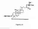 Fig. 04 - METHODS OF EXTRACTION AND PURIFICATION OF LUO HAN GUO MOGROSIDE V, NATURAL SWEETENER COMPOSITIONS THEREWITH AND USES OF SAID COMPOSITION