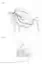 Fig. 04 - Brassiere