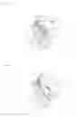 Fig. 06 - Brassiere