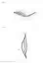 Fig. 10 - Brassiere