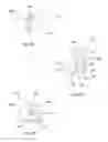 Fig. 05 - Lace adjuster assembly including feedback assembly for use in visualizing and measuring athletic performance