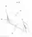 Fig. 12 - Case having standing leg for electronic device