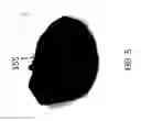 Fig. 05 - BEARD TRIMMINGS CATCHER