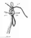 Fig. 12 - METHOD AND APPARATUS FOR AN ADJUSTABLE HARNESS