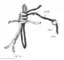 Fig. 13 - METHOD AND APPARATUS FOR AN ADJUSTABLE HARNESS