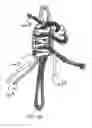 Fig. 16 - METHOD AND APPARATUS FOR AN ADJUSTABLE HARNESS