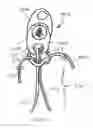 Fig. 18 - METHOD AND APPARATUS FOR AN ADJUSTABLE HARNESS
