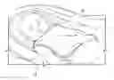 Fig. 01 - Bath cover for child
