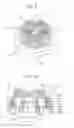 Fig. 08 - Beauty apparatus