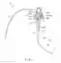 Fig. 02 - Endoscope