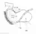 Fig. 01 - ENDOSCOPE