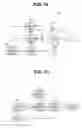 Fig. 08 - BIOLOGICAL OBSERVATION SYSTEM