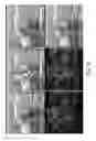 Fig. 15 - Optoacoustic probe with multi-layer coating