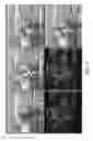 Fig. 16 - Optoacoustic probe with multi-layer coating