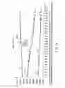 Fig. 15 - Electro-oculographic detector and electro-oculographic detection method