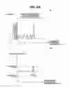 Fig. 07 - Optical imaging apparatus for diagnosis and image processing method