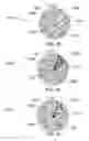 Fig. 28 - METHOD AND SYSTEM FOR QUANTITATIVE ASSESSMENT OF VISUAL MOTOR RESPONSE