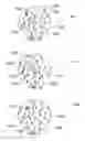 Fig. 29 - METHOD AND SYSTEM FOR QUANTITATIVE ASSESSMENT OF VISUAL MOTOR RESPONSE