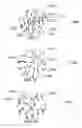 Fig. 31 - METHOD AND SYSTEM FOR QUANTITATIVE ASSESSMENT OF VISUAL MOTOR RESPONSE