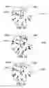 Fig. 32 - METHOD AND SYSTEM FOR QUANTITATIVE ASSESSMENT OF VISUAL MOTOR RESPONSE