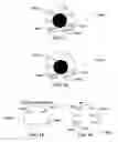 Fig. 34 - METHOD AND SYSTEM FOR QUANTITATIVE ASSESSMENT OF VISUAL MOTOR RESPONSE