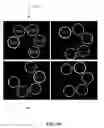 Fig. 58 - METHOD AND SYSTEM FOR QUANTITATIVE ASSESSMENT OF VISUAL MOTOR RESPONSE