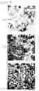 Fig. 08 - DEVICE AND METHOD FOR DETECTING OVULATION USING SALIVA