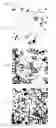 Fig. 09 - DEVICE AND METHOD FOR DETECTING OVULATION USING SALIVA