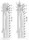 Fig. 12 - Methods and devices for manipulating and fastening tissue