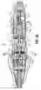 Fig. 15 - Endoscopic stitching devices