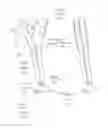 Fig. 35 - Suture sleeve patch and methods of delivery within an existing arthroscopic workflow
