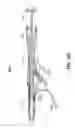 Fig. 47 - Ratcheting mechanism for surgical stapling device