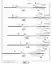 Fig. 07 - Clot retrieval system