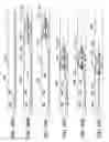 Fig. 77 - Clot retrieval system