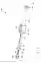 Fig. 02 - Ratcheting strut