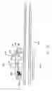 Fig. 09 - Ratcheting strut