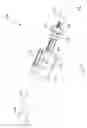 Fig. 19 - Ratcheting strut