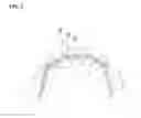 Fig. 03 - ORTHODONTIC ARCHWIRE WITH VARIABLE CROSS SECTIONAL CONFIGURATION