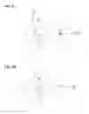 Fig. 09 - ORTHODONTIC ARCHWIRE WITH VARIABLE CROSS SECTIONAL CONFIGURATION