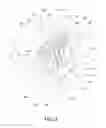 Fig. 03 - Oral care implement