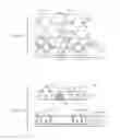 Fig. 07 - Expandable spinal implant apparatus and method of use